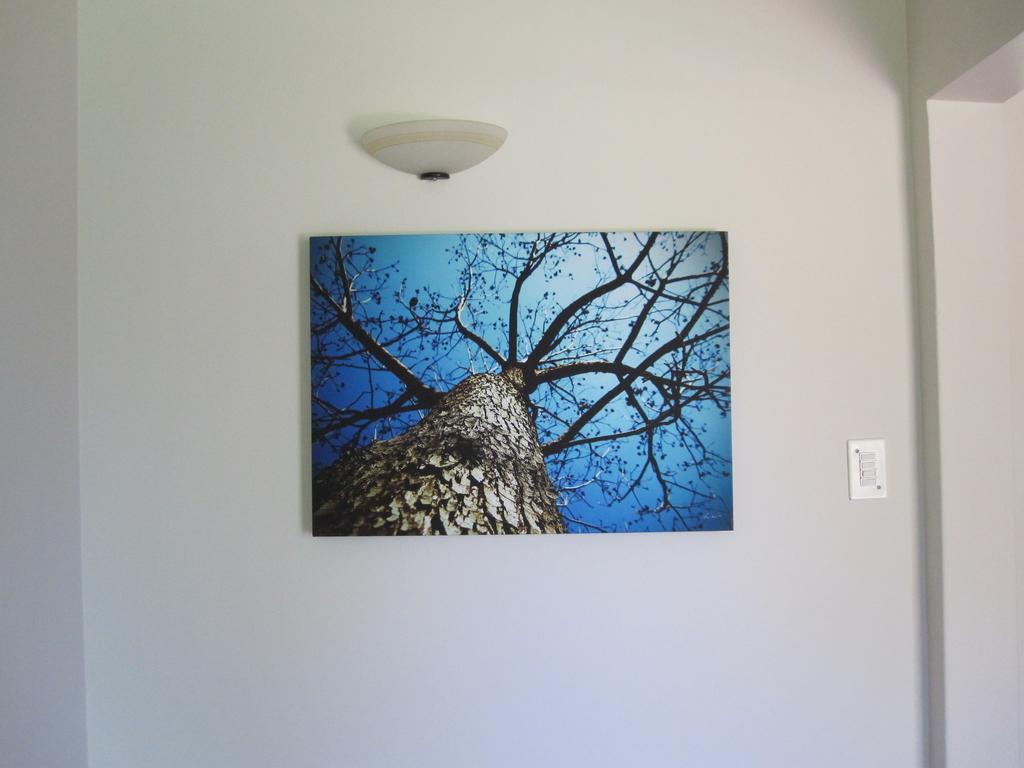 סנדטון The Pecan Tree Guesthouse מראה חיצוני תמונה